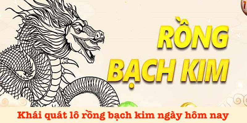 Giới thiệu lô rồng bạch kim ngày hôm nay